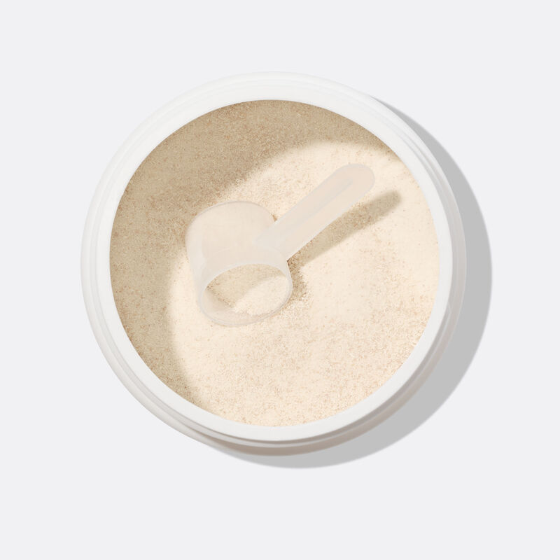 Close-up of scoop with powder