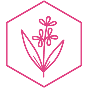 Ilustraci&oacute;n del ingrediente extracto vegetal.